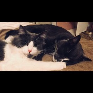 Meet your Posher, Joseph